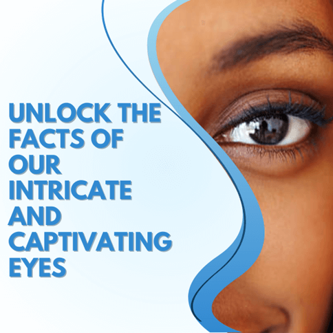 Unlock the Facts of Our Intricate and Captivating Eyes